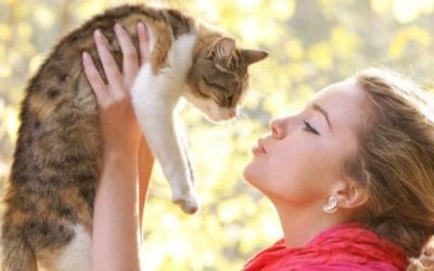 La importancia de la desparasitación de tu mascota