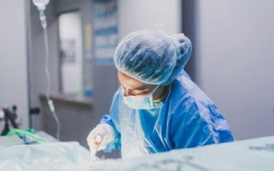 Los beneficios de esterilizar a tu mascota