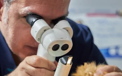 Haz una revisión a tu mascota para evitar enfermedades